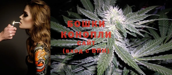 гидропоника Карталы