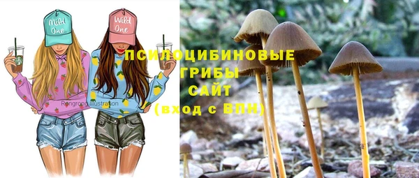 ешки Кинешма