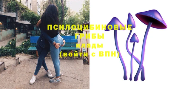 гидропоника Карталы