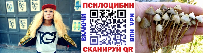 Галлюциногенные грибы MAGIC MUSHROOMS  Купить где  Остров 